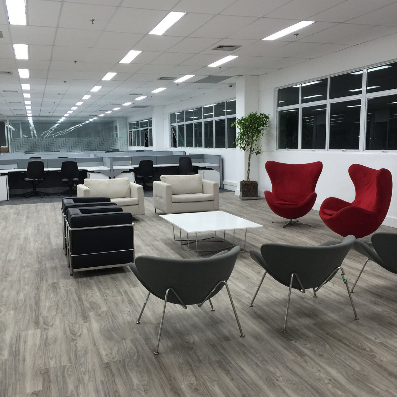 Cópia de WhatsApp Image 2016-08-31 at 17.19.56 (1)